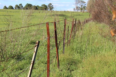 Wooden fence on field