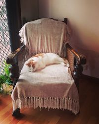 View of a dog sleeping on bed