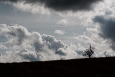 Bare tree on field against cloudy sky