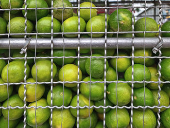 Pile of fresh green lime fruits for sale