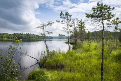 Scenic view of lake against sky