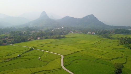 Scenic view of agricultural field against sky