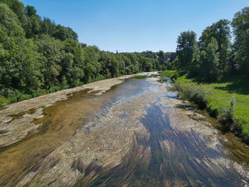 Scenic view of river amidst trees against sky