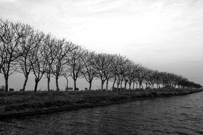 Bare trees on field against sky