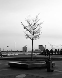 Bare tree against sky in city