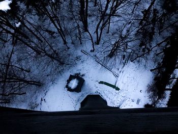 Bare trees during winter at night