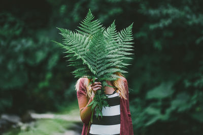 Close-up of person holding fern leaves