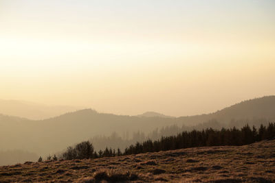 Trees on landscape against sky during sunset