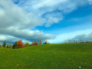 Scenic view of field against sky