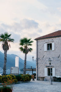 View of palm trees against sky