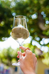 Cropped hand of woman holding wineglass