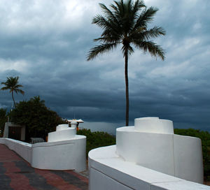 Palm trees against cloudy sky