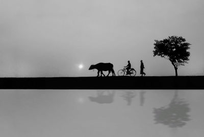 Silhouette people riding horse in lake against sky