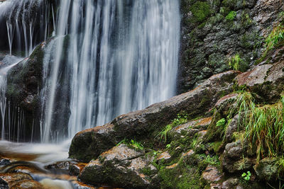 Scenic view of waterfall in forest