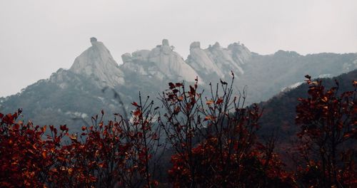 Panoramic view of land and mountains against sky