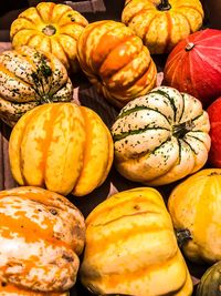 Close-up of pumpkins in market