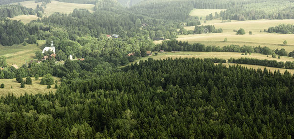 Scenic view of agricultural field