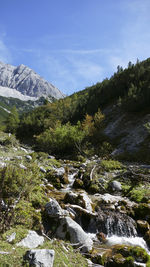 wilderness