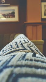 Close up of plant against blurred background