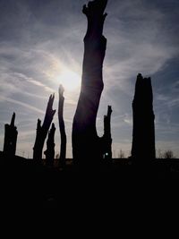 Silhouette of trees at sunset