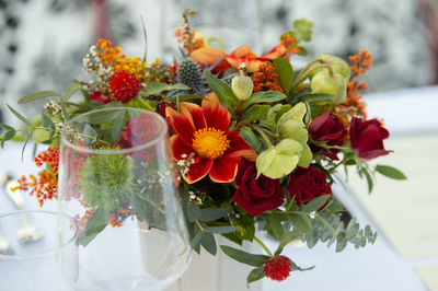 Close-up of red flowers in vase