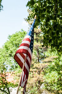 Close-up of flag against trees
