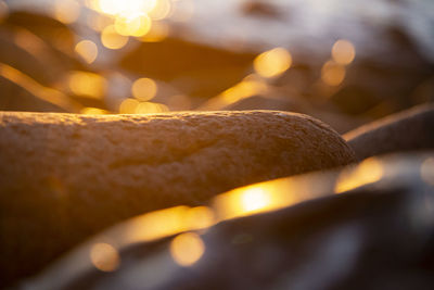 Stony beach stones and rocks sunlit in the evening closeup, texture sunset and sunrise