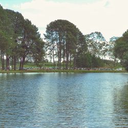 Scenic view of lake in forest against sky
