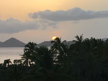 Silhouette palm trees by sea against sky during sunset