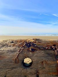 Driftwood on beach against sky