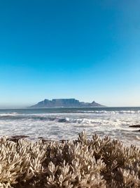 Scenic view of sea against clear blue sky