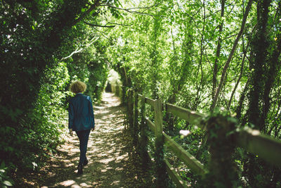 Rear view of boy walking in forest