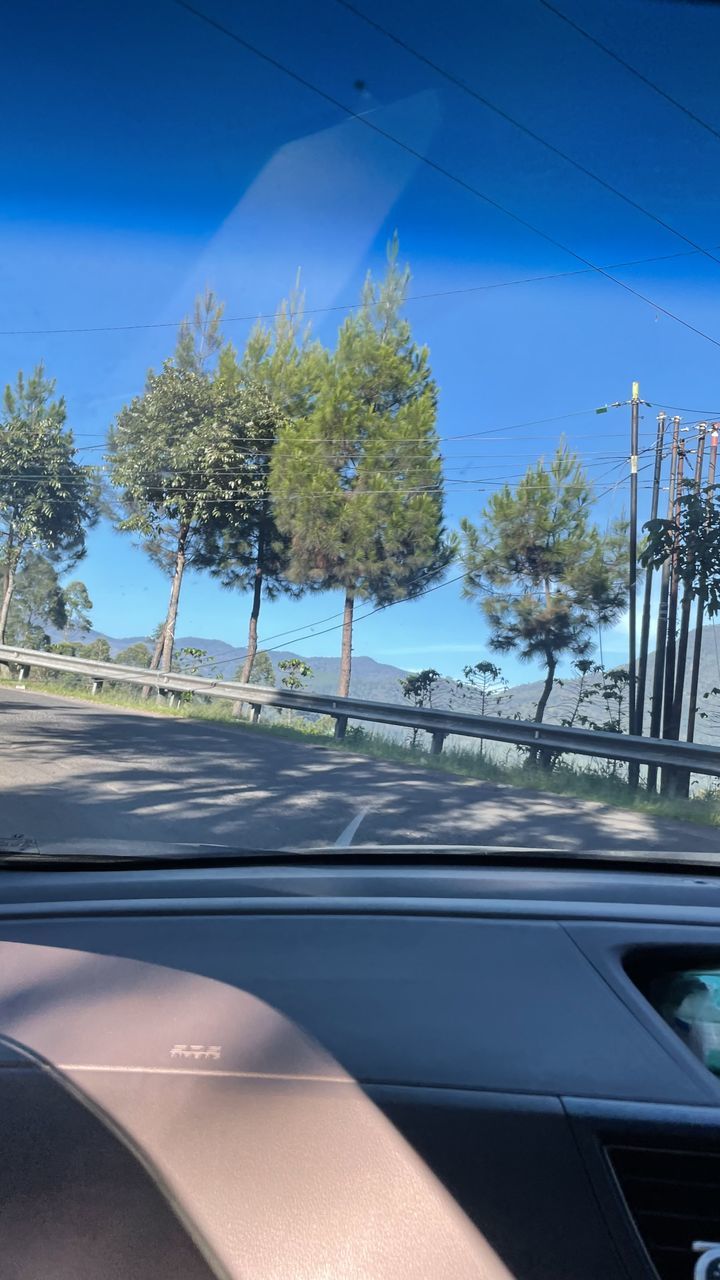 car, transportation, motor vehicle, tree, mode of transportation, plant, sky, nature, land vehicle, blue, road, vehicle, day, no people, vehicle interior, travel, glass, outdoors, windshield, city, car interior, reflection, architecture
