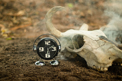 Close-up of a clock on the wall