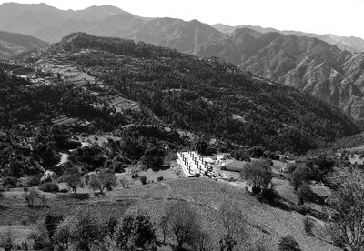 High angle view of trees on landscape