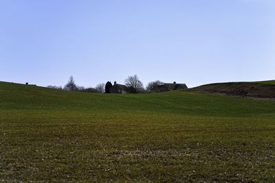 Scenic view of field against clear sky