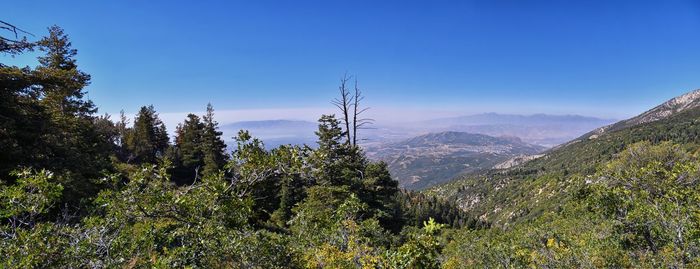 wilderness