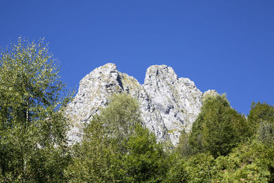 Low angle view of trees against clear blue sky