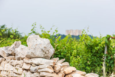 Rocks and trees against clear sky