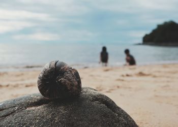 Rear view of rock on beach against sky