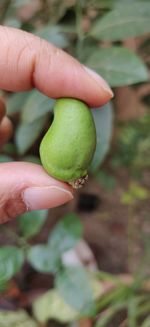 Close-up of hand holding fruit