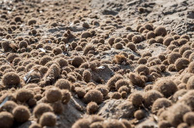 Full frame shot of sand