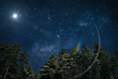 Low angle view of trees against star field at night