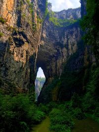 Trees on rock formation