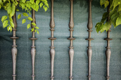 Directly above shot of plants hanging on metal grate