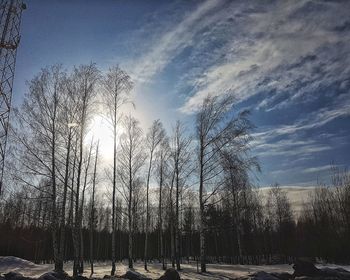 Bare trees on field against sky during winter