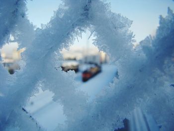 Close-up of snow covered car