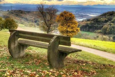 Bench in park during autumn