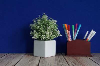 Close-up of potted plant on table