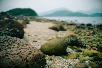 Close-up of pebbles on beach against sky